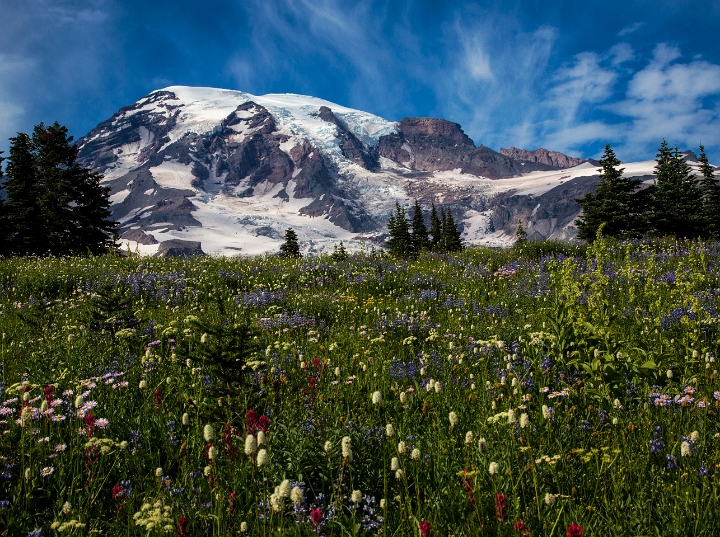 Mt Rainier 12-2641.jpg
